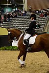 HHB-DressageFinals-11-9-13-2522-DDeRosaPhoto