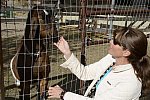 HHB2-10-16-12-2455-DDeRosaPhoto