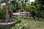 Hippocrates-1-15-17-7146-DDeRosaPhoto