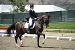 DSEL-62808-571-CourtneyKing-HarmonysMythilus-DeRosaPhoto