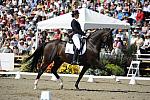 DSEL-62808-574-CourtneyKing-HarmonysMythilus-DeRosaPhoto