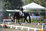 DSEL-62808-577-CourtneyKing-HarmonysMythilus-DeRosaPhoto