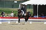 DSEL-62908-1108-CourtneyKing-HarmonysMythilus-DeRosaPhoto
