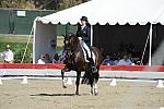 DSEL-62908-1121-CourtneyKing-HarmonysMythilus-DeRosaPhoto