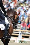 DSEL-62908-820-CourtneyKing-Idocus-DeRosaPhoto