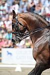 DSEL-62908-840-CourtneyKing-Idocus-DeRosaPhoto