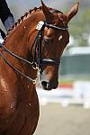 DSEL-62808-130-DebbieMcDonald-Brentina-DeRosaPhoto