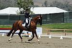 DSEL-62808-146-DebbieMcDonald-Brentina-DeRosaPhoto
