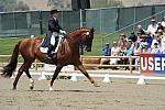 DSEL-62808-147-DebbieMcDonald-Brentina-DeRosaPhoto