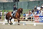 DSEL-62808-161-DebbieMcDonald-Brentina-DeRosaPhoto