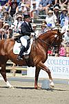 DSEL-62808-163-DebbieMcDonald-Brentina-DeRosaPhoto