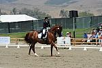 DSEL-62808-172-DebbieMcDonald-Brentina-DeRosaPhoto