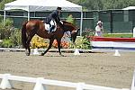 DSEL-62808-188-DebbieMcDonald-Brentina-DeRosaPhoto