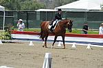 DSEL-62808-190-DebbieMcDonald-Brentina-DeRosaPhoto
