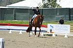 DSEL-62808-191-DebbieMcDonald-Brentina-DeRosaPhoto