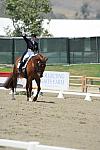 DSEL-62808-193-DebbieMcDonald-Brentina-DeRosaPhoto