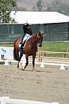 DSEL-62808-194-DebbieMcDonald-Brentina-DeRosaPhoto