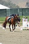 DSEL-62808-196-DebbieMcDonald-Brentina-DeRosaPhoto