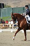DSEL-62908-1000-DebbieMcDonald-Brentina-DeRosaPhoto