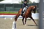 DSEL-62908-1001-DebbieMcDonald-Brentina-DeRosaPhoto