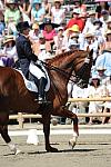 DSEL-62908-1007-DebbieMcDonald-Brentina-DeRosaPhoto