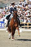 DSEL-62908-1019-DebbieMcDonald-Brentina-DeRosaPhoto