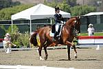 DSEL-62908-1023-DebbieMcDonald-Brentina-DeRosaPhoto