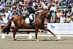 DSEL-62908-1028-DebbieMcDonald-Brentina-DeRosaPhoto