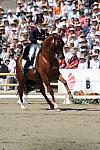 DSEL-62908-997-DebbieMcDonald-Brentina-DeRosaPhoto