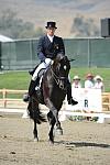 DSEL-62808-478-GeorgeWilliams-Rocher-DeRosaPhoto