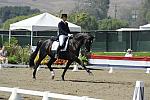DSEL-62808-483-GeorgeWilliams-Rocher-DeRosaPhoto