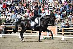 DSEL-62808-513-GeorgeWilliams-Rocher-DeRosaPhoto