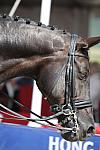 DSEL-62808-523-GeorgeWilliams-Rocher-DeRosaPhoto