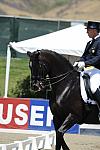 DSEL-62908-759-GeorgeWilliams-Rocher-DeRosaPhoto