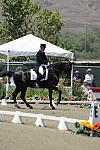 DSEL-62908-775-GeorgeWilliams-Rocher-DeRosaPhoto