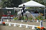 DSEL-62808-359-KristinaNaness-RocieroXV-DeRosaPhoto