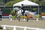 DSEL-62908-896-KristinaNaness-RocieroXV-DeRosaPhoto