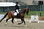 DSEL-62808-0101-SteffenPeters-Lombardi11-DeRosaPhoto