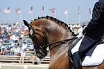 DSEL-62808-057-SteffenPeters-Lombardi11-DeRosaPhoto