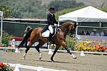 DSEL-62808-067-SteffenPeters-Lombardi11-DeRosaPhoto