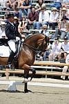 DSEL-62808-074-SteffenPeters-Lombardi11-DeRosaPhoto
