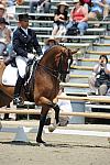 DSEL-62808-075-SteffenPeters-Lombardi11-DeRosaPhoto