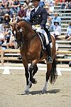DSEL-62808-078-SteffenPeters-Lombardi11-DeRosaPhoto