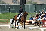 DSEL-62808-080-SteffenPeters-Lombardi11-DeRosaPhoto