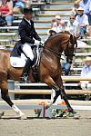 DSEL-62808-085-SteffenPeters-Lombardi11-DeRosaPhoto