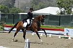 DSEL-62808-087-SteffenPeters-Lombardi11-DeRosaPhoto