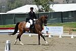 DSEL-62808-089-SteffenPeters-Lombardi11-DeRosaPhoto