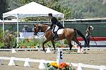 DSEL-62808-104-SteffenPeters-Lombardi11-DeRosaPhoto