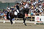 DSEL-62808-412-SteffenPeters-Ravel-DeRosaPhoto