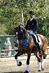 DSEL-62808-679-SteffenPeters-Lombardi11-DeRosaPhoto